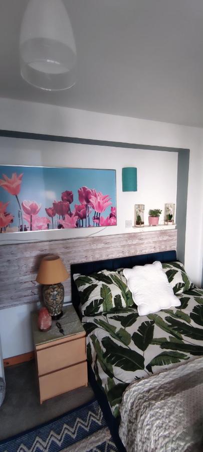 Joanna'S Studio , Key Locker By Whatsapp Own Entrance, Own Bathroom Youghal Eksteriør billede